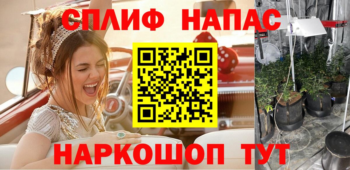 Конопля семена Саянск